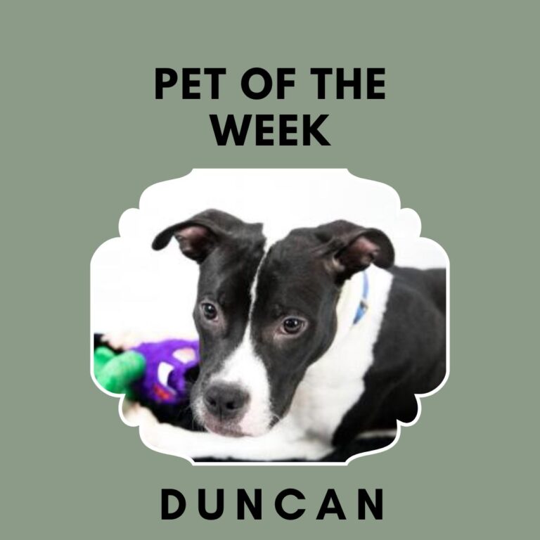 Pet of the Week - Duncan